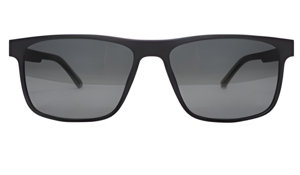 Zenith LT1001 C1
