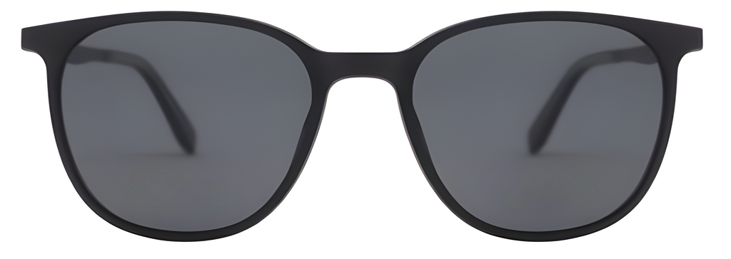 Siena LT1014 C2