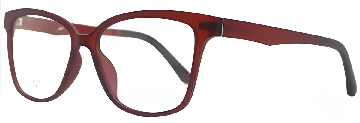 Ambar LT1009 C1 - Burdeo