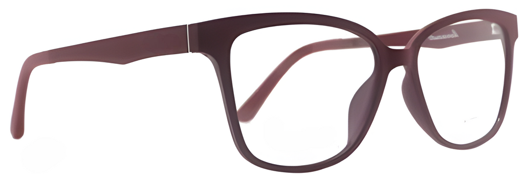 Ambar LT1009 C4